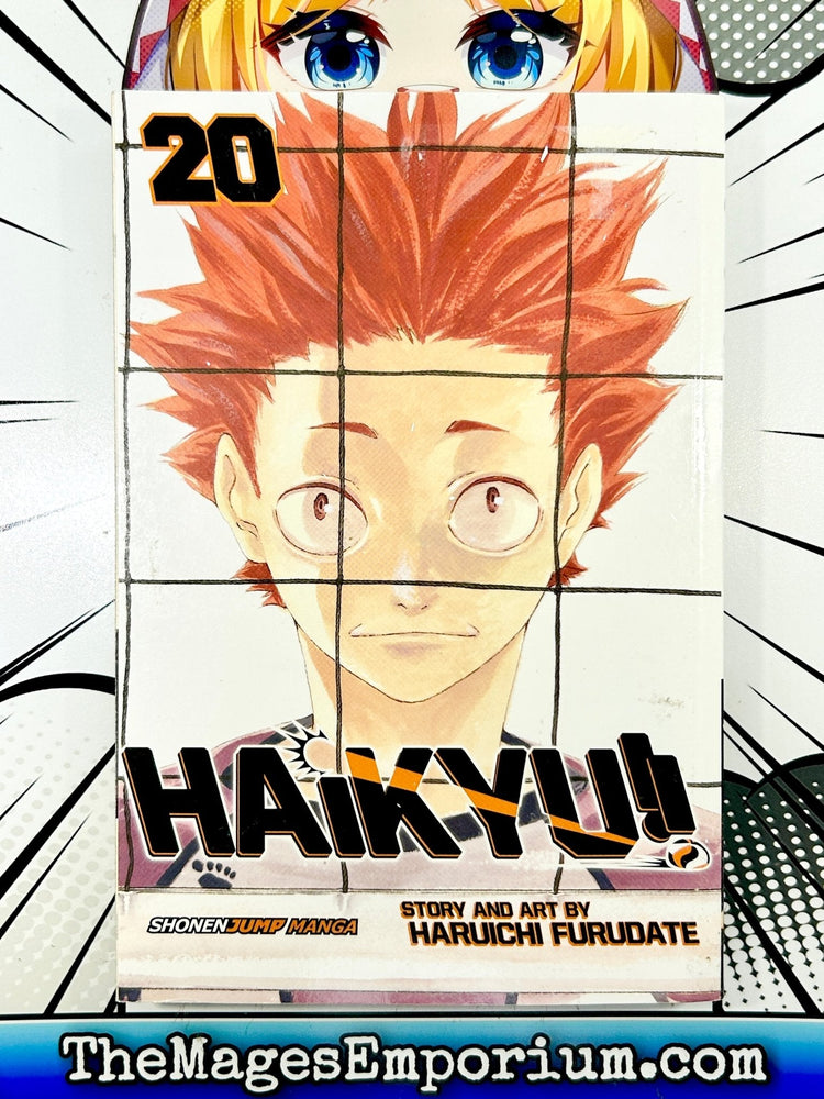 Haikyu!! Vol 20 (Online Order Only)