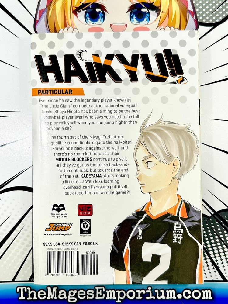 Haikyu!! Vol 20 (Online Order Only)