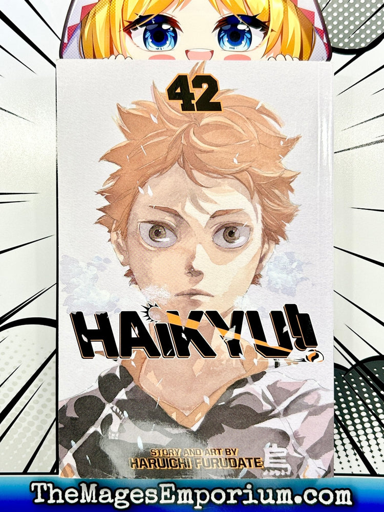 Haikyu!! Vol 42 (Online Order Only)
