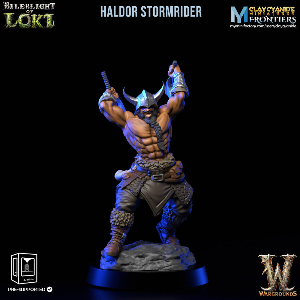 3D Printed Clay Cyanide Bileblight of Loki Vikings 28 32 mm D&D (Online Only)