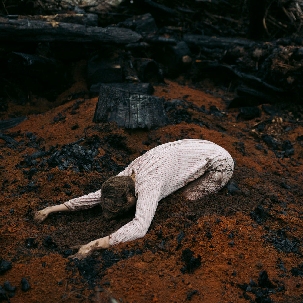 Keeper Of The Shepherd (Birch White Vinyl) [Vinyl] (ONLINE ORDER ONLY)