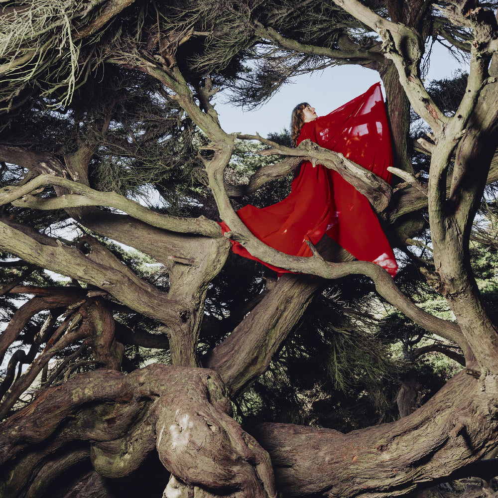 Nested In Tangles (Ruby Red Vinyl) [Vinyl] (ONLINE ORDER ONLY)