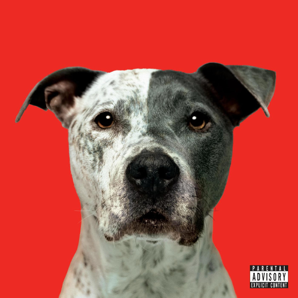 FLIGHT [Vinyl] (ONLINE ORDER ONLY)