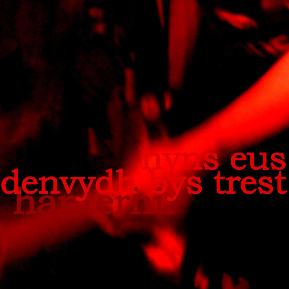 There is No One to Trust (Nyns Eus Denvydth Bys Trest) [Vinyl] (ONLINE ORDER ONLY)