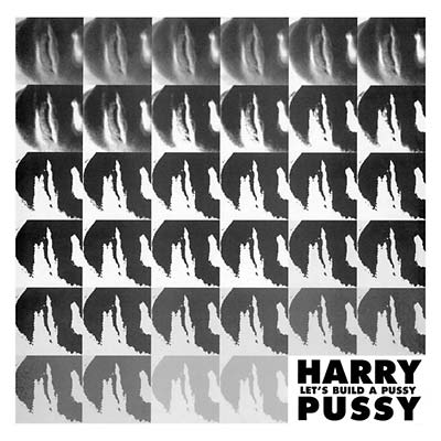 Let's Build a Pussy [Vinyl] (ONLINE ORDER ONLY)