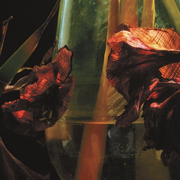 HAYVANLAR ALEMI - Psychedelia In Times Of Turbulence [CD] (ONLINE ORDER ONLY)