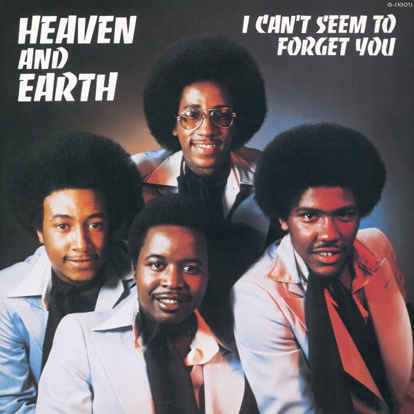 I Can'T Seem To Forget You [Vinyl]