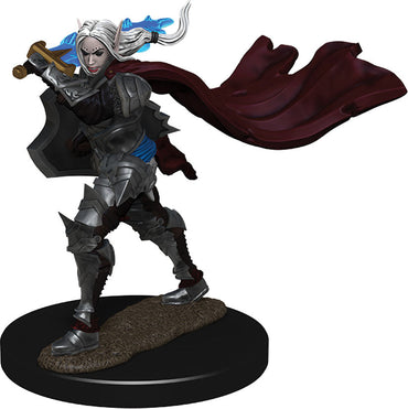 Pathfinder Battles: Femal Elf Champion (ONLINE ORDER ONLY)