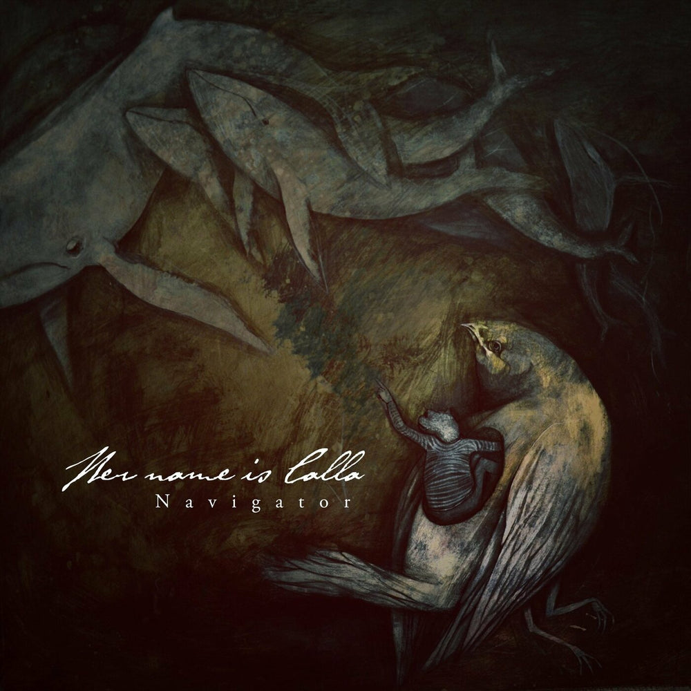Navigator [CD]