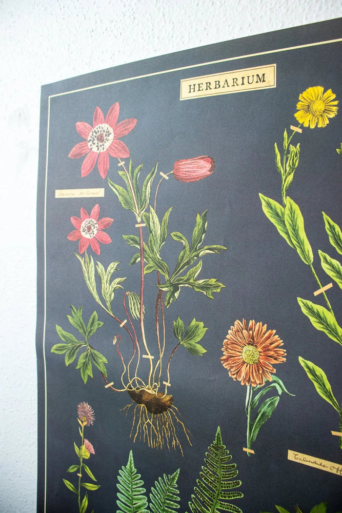 Herbarium Scientific Chart (ONLINE ORDER ONLY)
