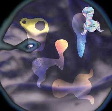 Hieroglyphic Being - Quadric Surfaces [Vinyl] (ONLINE ORDER ONLY)