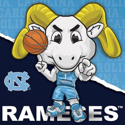 UNC Tar Heels - NCAA Mascot 100 Piece Jigsaw Puzzle (ONLINE ORDER ONLY)