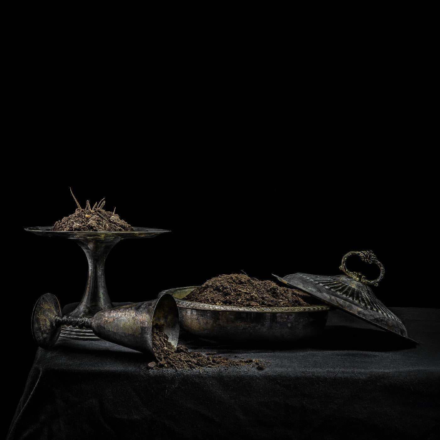 All We Have Is Never (Purple Vinyl) [Vinyl] (ONLINE ORDER ONLY)