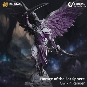 Horace of the Far Sphere, Owlkin Ranger (Male Aarakocra Ranger) (ONLINE ORDER ONLY)