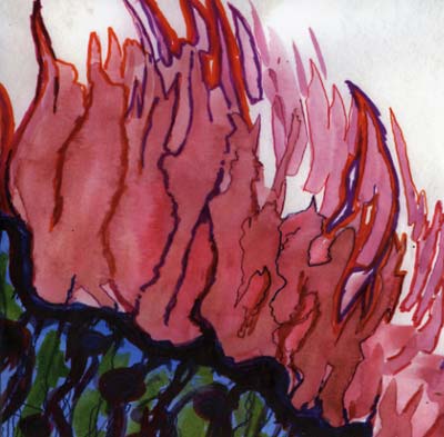 HOTOTOGISU - Floating Japanese Oof! Gardens Of The 21st Century [CD] (ONLINE ORDER ONLY)