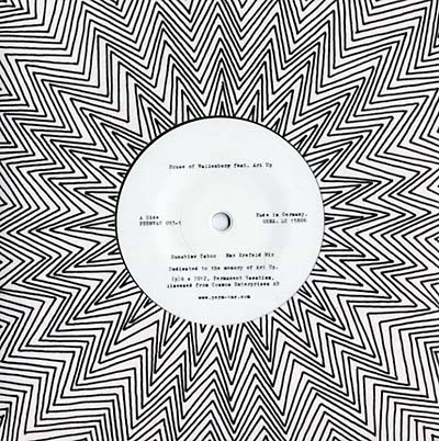 HOUSE OF WALLENBERG (FEAT. ARI UP) - Sunshine Taboo [Vinyl] (ONLINE ORDER ONLY)