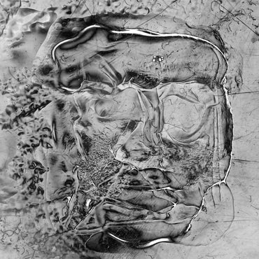 The Anteroom [Vinyl] (ONLINE ORDER ONLY)