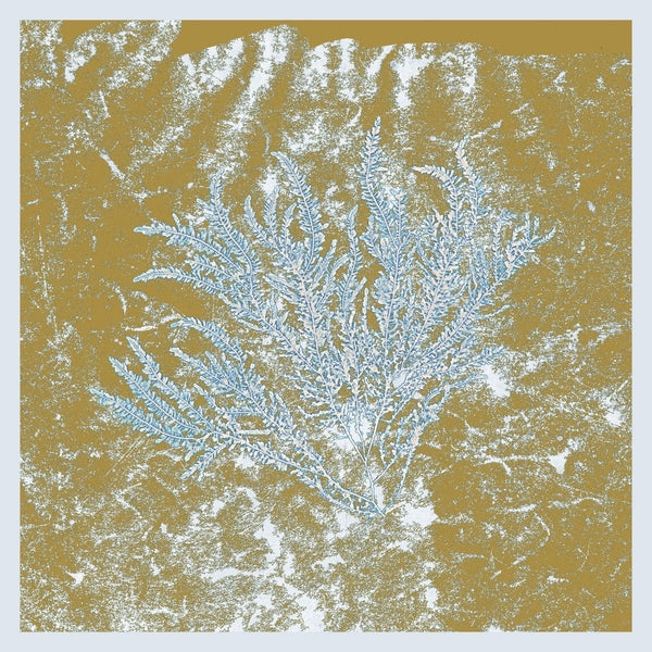 For Those Of You Who Have Never (And Also Those Who Have) [Vinyl] (ONLINE ORDER ONLY)