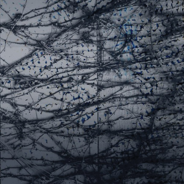 HUMAN RAYS - A Tension [Vinyl] (ONLINE ORDER ONLY)