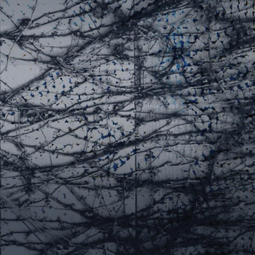 HUMAN RAYS - A Tension [Vinyl] (ONLINE ORDER ONLY)