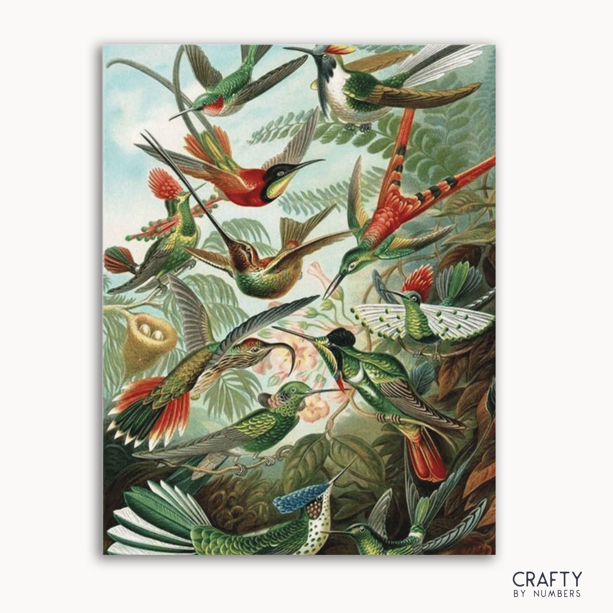 Hummingbirds - Ernst Haeckel (ONLINE ORDER ONLY)