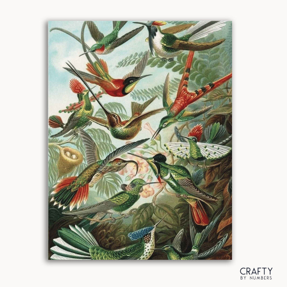 Hummingbirds - Ernst Haeckel (ONLINE ORDER ONLY)