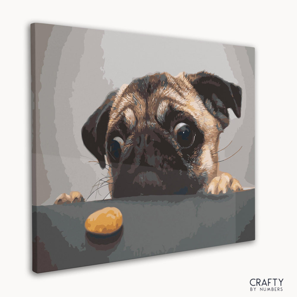Hungry Pug (ONLINE ORDER ONLY)