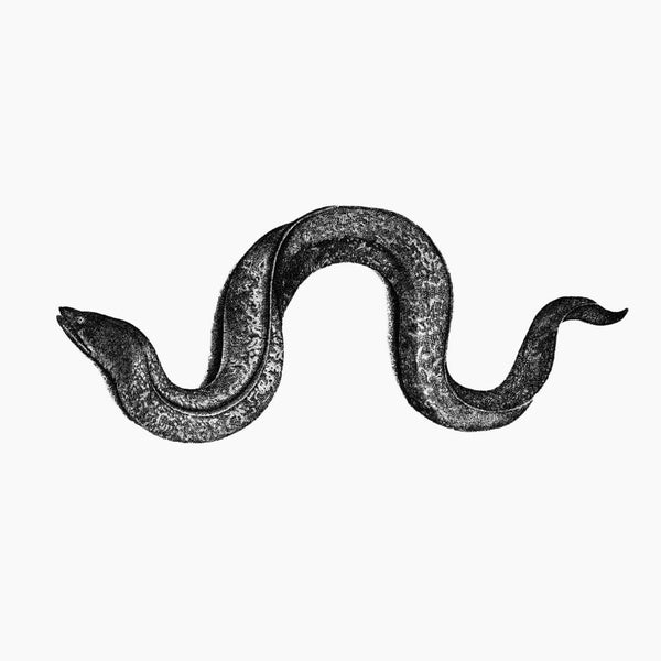 HYUNHYE SEO - Eel [CD] (ONLINE ORDER ONLY)