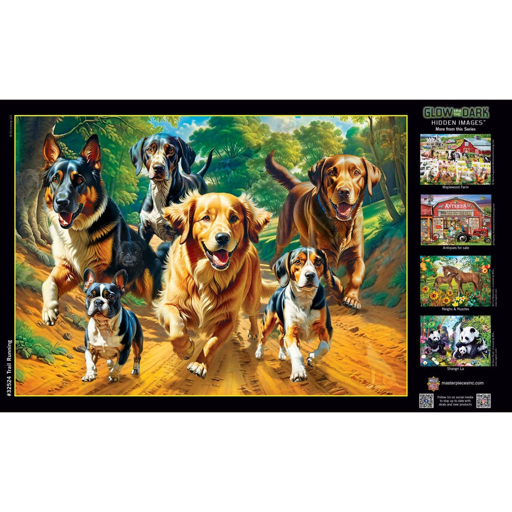 Hidden Images - Trail Running 500 Piece Jigsaw Puzzle (ONLINE ORDER ONLY)