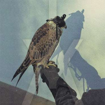 You're Nothing [CD] (ONLINE ORDER ONLY)