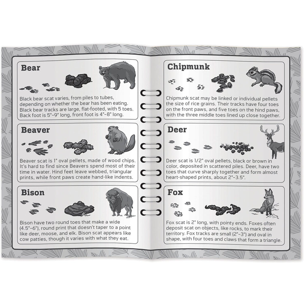 Jr. Ranger Poop Tracks Card Game (ONLINE ORDER ONLY)