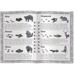 Jr. Ranger Poop Tracks Card Game (ONLINE ORDER ONLY)