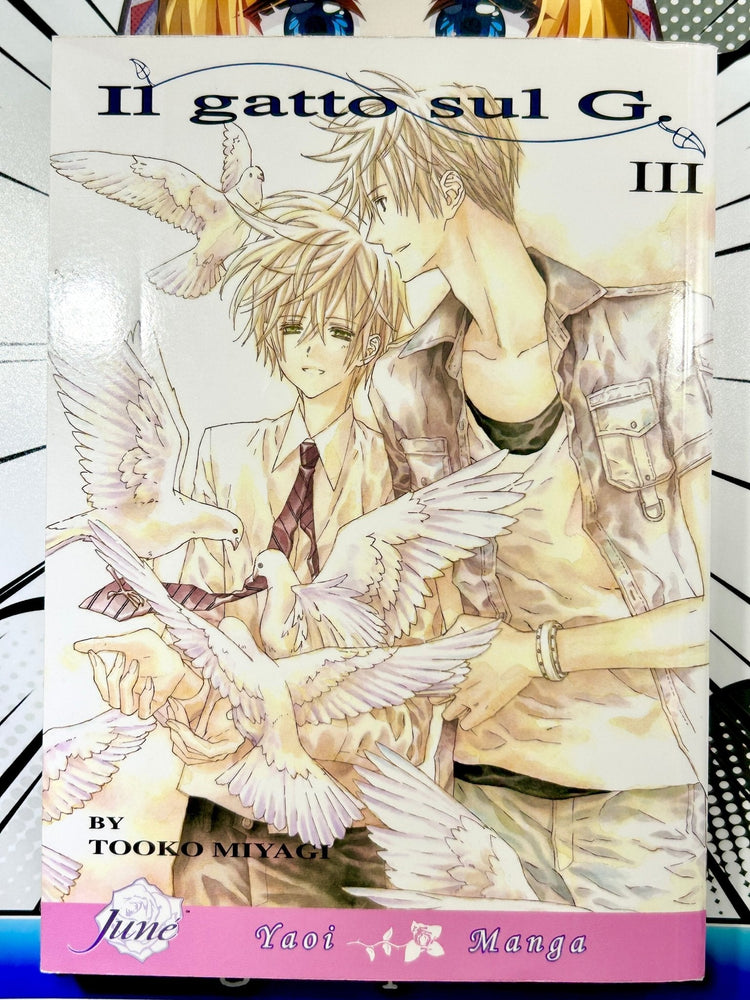 Il Gatto Sul G Vol 3 (Online Order Only)