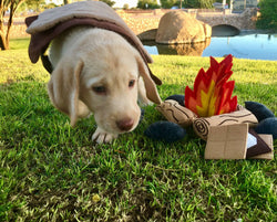 Felt Campfire Play Set, Kids Pretend Play Toy, Unique Birthday Gift
for Children (ONLINE ORDER ONLY)