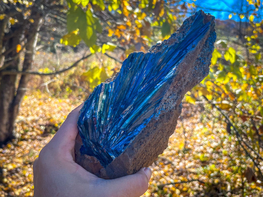 8" Raw VIVIANITE Specimen (ONLINE ORDER ONLY)