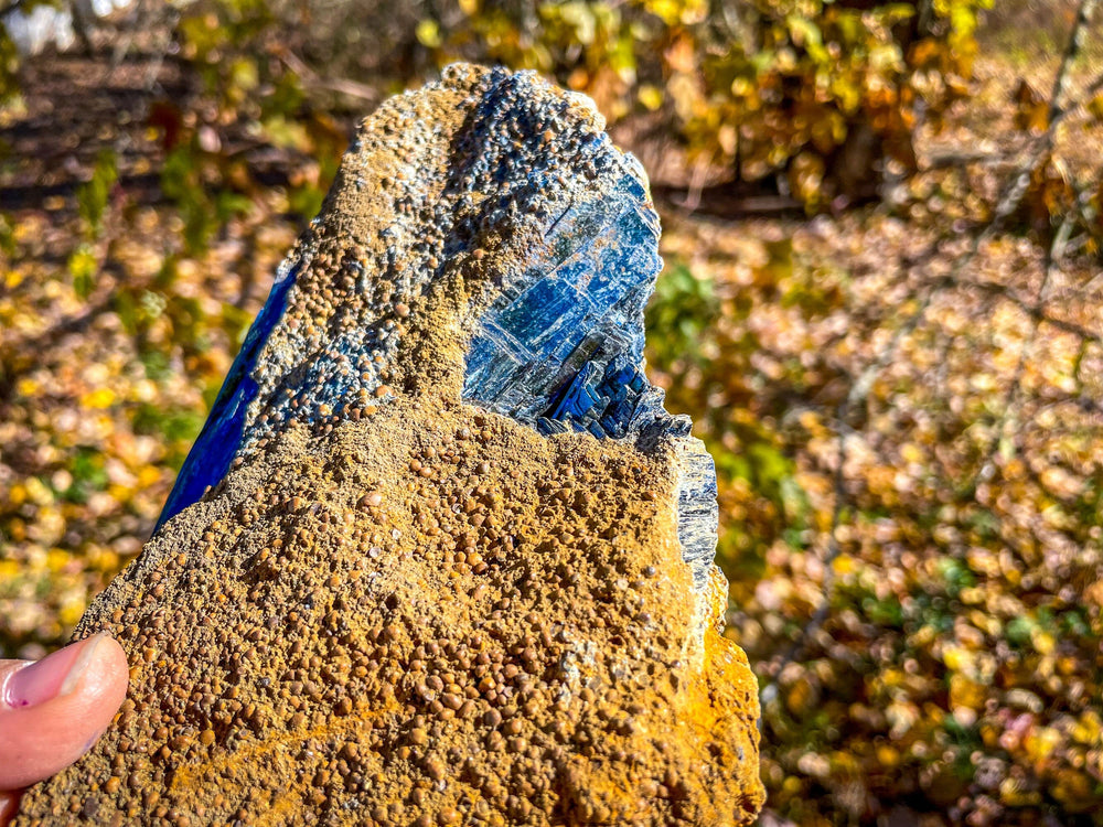 8" Raw VIVIANITE Specimen (ONLINE ORDER ONLY)