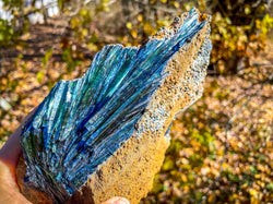 8" Raw VIVIANITE Specimen (ONLINE ORDER ONLY)