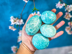 ETHICALLY SOURCED Amazonite palm stone for COURAGE (ONLINE ORDER ONLY)