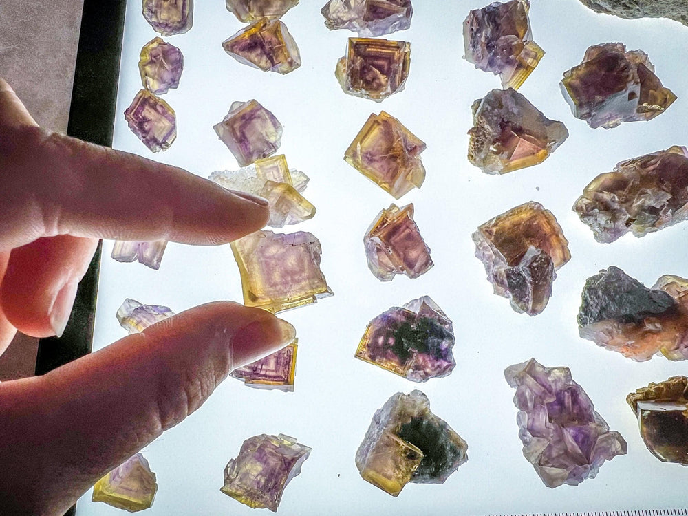 ANHUI Yellow Fluorite with Thousand Layer Purple Phantoms, RARE Minerals