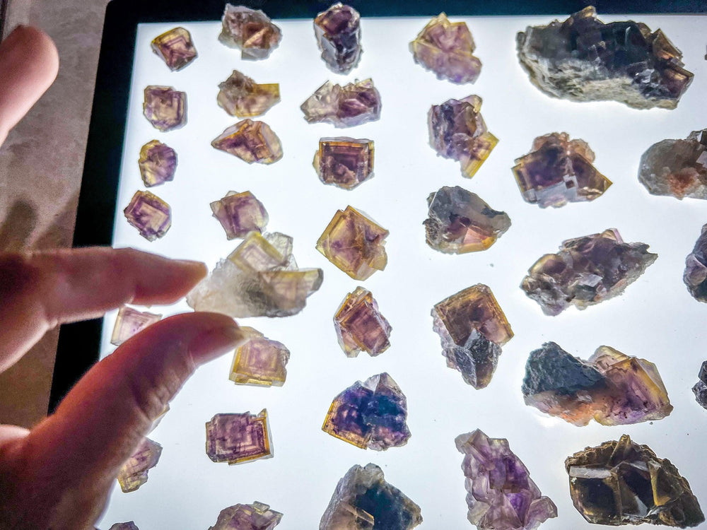 ANHUI Yellow Fluorite with Thousand Layer Purple Phantoms, RARE Minerals