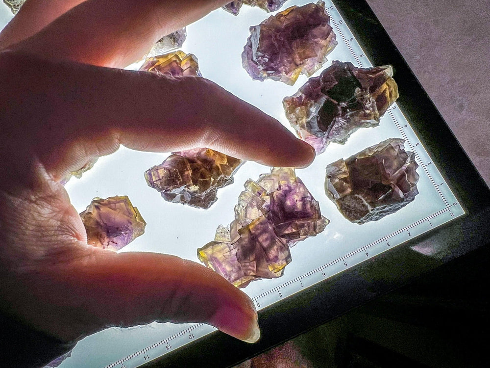 ANHUI Yellow Fluorite with Thousand Layer Purple Phantoms, RARE Minerals