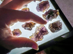 ANHUI Yellow Fluorite with Thousand Layer Purple Phantoms, RARE Minerals