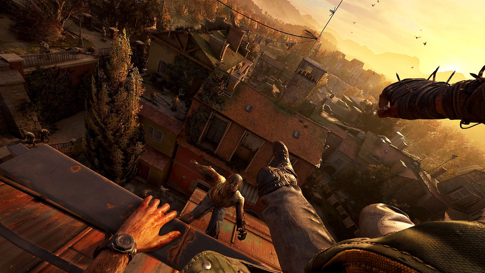 Dying Light: The Beast - PC (ONLINE ORDER ONLY)