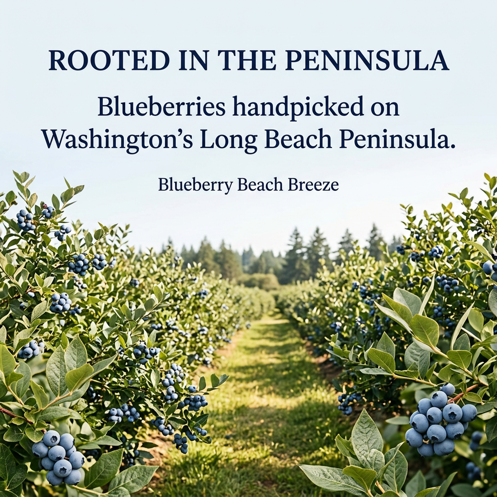 Blueberry Beach Breeze