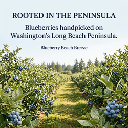 Blueberry Beach Breeze