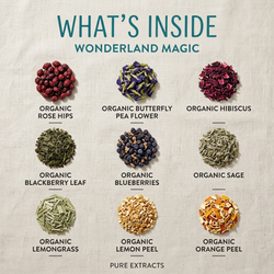 Wonderland Magic
