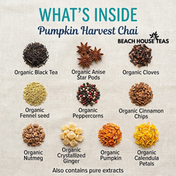Pumpkin Harvest Chai