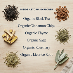 Astoria Explorer