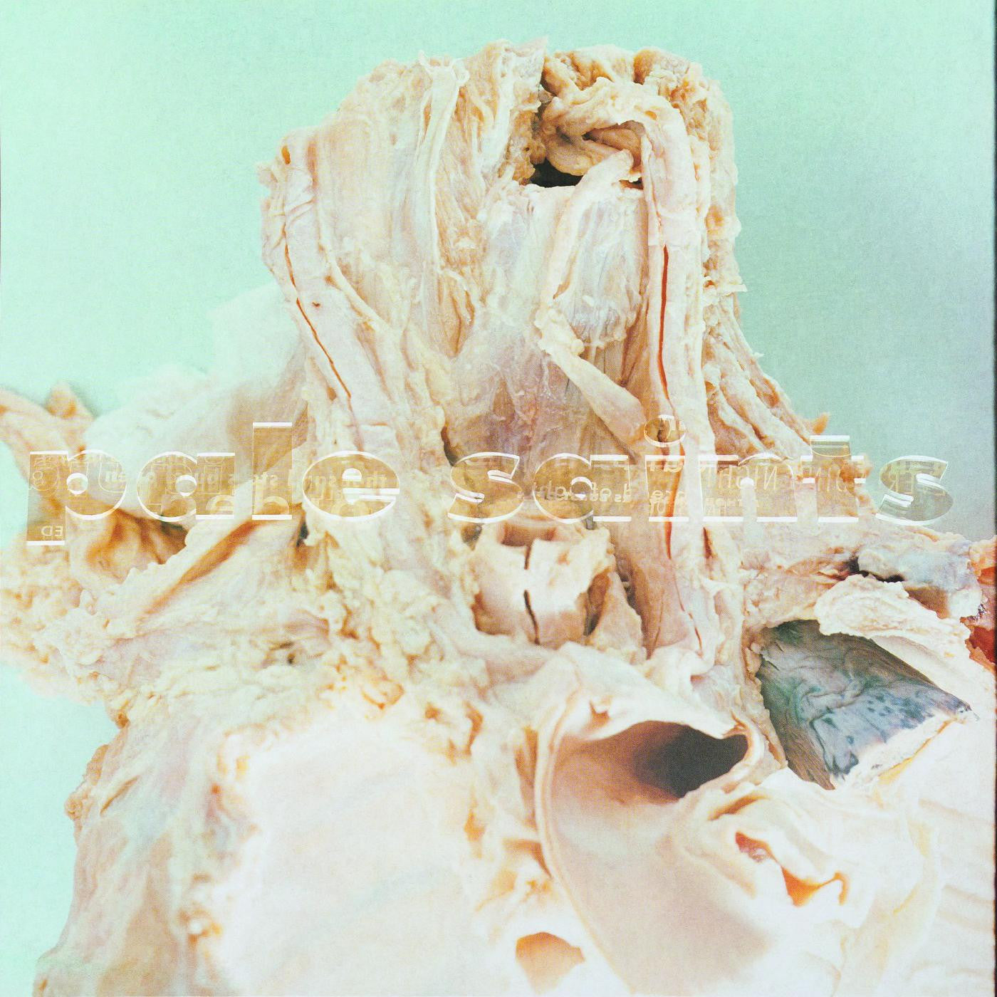 In Ribbons [2LP Deluxe] [Vinyl] (ONLINE ORDER ONLY)