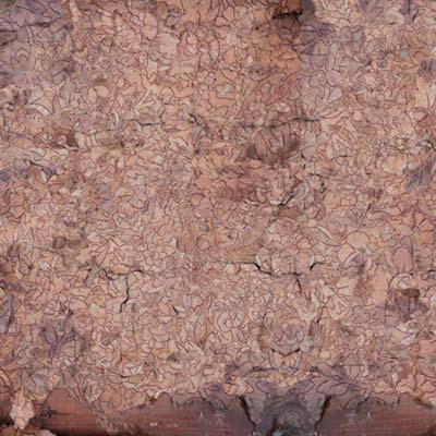 INDIGNANT SENILITY - Consecration Of The Whipstain [Vinyl] (ONLINE ORDER ONLY)